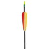 EK Archery Carbon Arrows 30" - x6